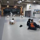 JSM 멀티짐 이미지