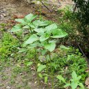 거로경로당 이미지