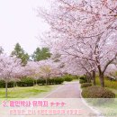 왕인박사유적지 관리사무소 이미지