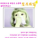 헤이유 이미지