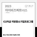 아이비즈파트너스