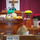 용복농장 이미지