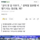 "굳이 못 갈 이유가..." 광복절 일본행 비행기 타는 청년들, 왜? 이미지