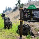 산방마을 농로 이미지