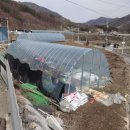국포리(남원) 이미지