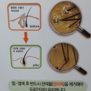 이삼칠 염색두피관리 청주지사 | 청주용담동세이프존 화장품 천연헤나 천연아로마!