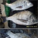 포인트호