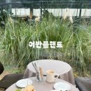 어반플랜트 수영 | 플랜테리어 감성 폭발! 뷰 맛집 수영맛집 어반플랜트에서 힐링 브런치 즐기기!