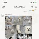 카발통 이미지