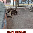 방범용CCTV 설치 전봇대 이미지