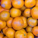 마르쉐농부시장 동대문플라자 이미지