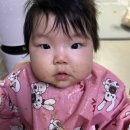 나시 vs 긴팔 아이주턱받이 | 둘 다 써본 엄마의 리얼후기, 핫딜가격정보