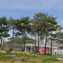 새동네목장 이미지