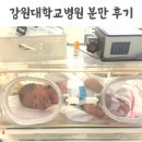 강원대학교병원 | 강원대학교병원 분만 후기 : 유도분만 자연분만 제왕절개 총집합