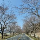 각북우체국 이미지