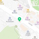 로얄펫 강아지분양 고양이분양 전주본점 이미지