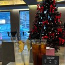신사역 가로수길 카페 로스터리 커피 맛집 '커피휘엘'
