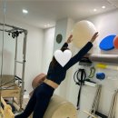 자연의 움직임 | 🧘‍♀️ 대치동필라테스 대치역필라테스 자연스러운 움직임을 찾는 프리미엄 스튜디오 후기