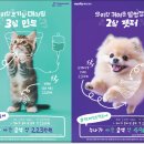 나우동물의료센터 이미지