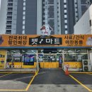 올데이펫 이미지