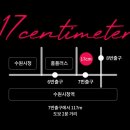 17센치미터