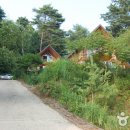 산수유자연휴양림 이미지