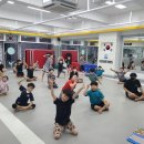 용인대 금호태권도 이미지