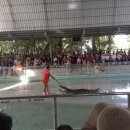 손별농장 이미지