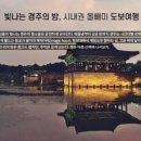 달빛테라피 이미지