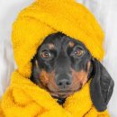 민락동물병원 이미지