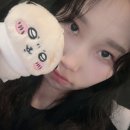 비주상사주 | 캠핑만 가면 과식하는 사람들