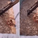 김치로L 이미지