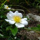 산천초목 이미지