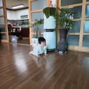 10개월 2~5일, 306~309일차) 경주펜션, 애기 첫 펜션!!!!