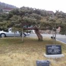 임회면사무소 네이버블로그