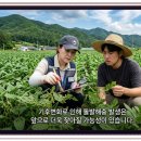고흥군농업기술센터 | 고흥만 풀무치 집단 발생! 농작물 피해 막는 긴급 방제와 예방법