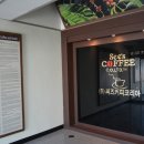 (주)씨즈코리아 이미지