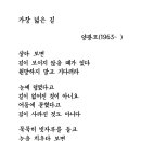 오늘의 시 : 가장 넓은 길 이미지