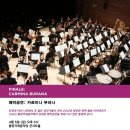 국제베크