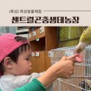 화성농장 | [화성] 아기와 가볼만한 곳 추천! 실내외 모두 가능한 화성동물체험 센트럴곤충생태농장 후기