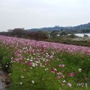 국토부 국감 출석한 증인의 소신 답변 / 발칵 뒤집어진 국힘당 / 경력비하, 사상검증하며 증인 모독 이미지