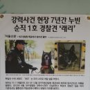 영남장묘