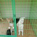 벌교철망 이미지