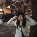 태평석유주 | 누가 나에게 아무것도 안하고 쉬는 법을 알려줘 주말내내 벚꽃구경만 함 대전도 감