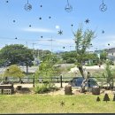 동네찻집 이미지