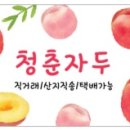 청춘공판장 - 2031 | 청춘공판장