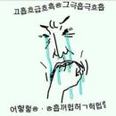 바니헤어 이미지