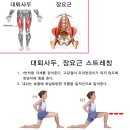 백세건강체형관리