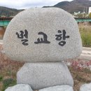 벌교 남파랑길62 코스 나 홀로(24,11,25) 이미지