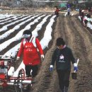 개구리목장 이미지